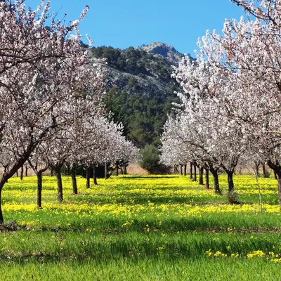 IMG_20240320_135337_796